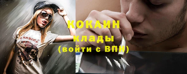 гашик Алексин