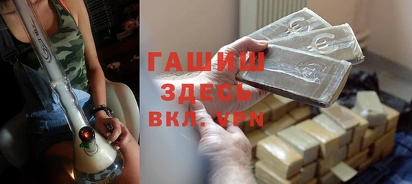 PSILOCYBIN Алзамай