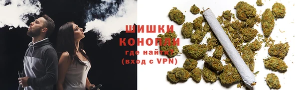 PSILOCYBIN Алзамай