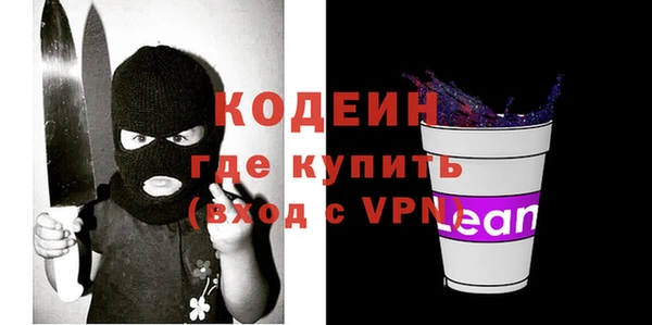 гашик Алексин