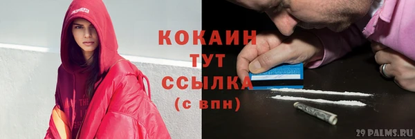 гашик Алексин