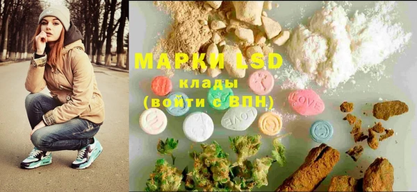 PSILOCYBIN Алзамай