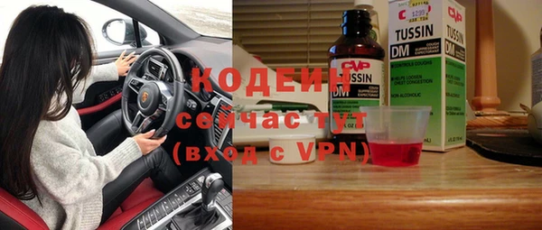 гашик Алексин