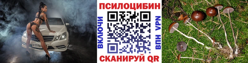 купить  сайты  blacksprut ONION  Галлюциногенные грибы GOLDEN TEACHER  Алзамай 