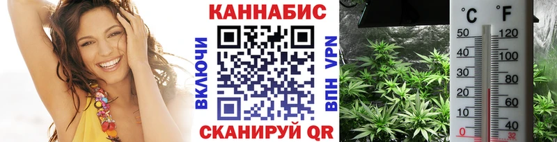 Шишки марихуана Bruce Banner  Алзамай 